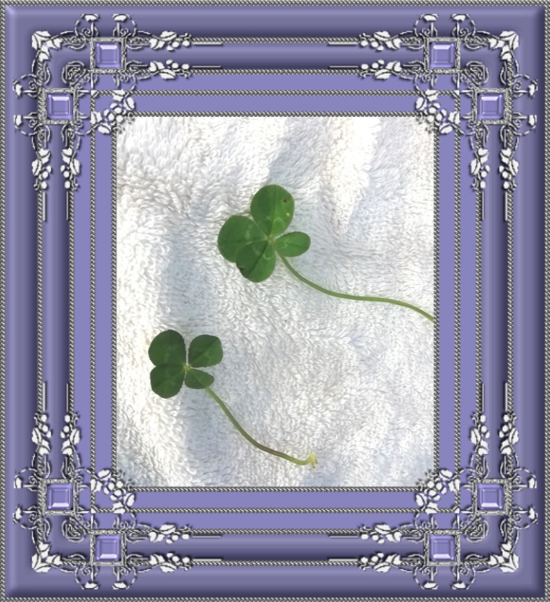 占い師シリウスららのお気に入り写真1